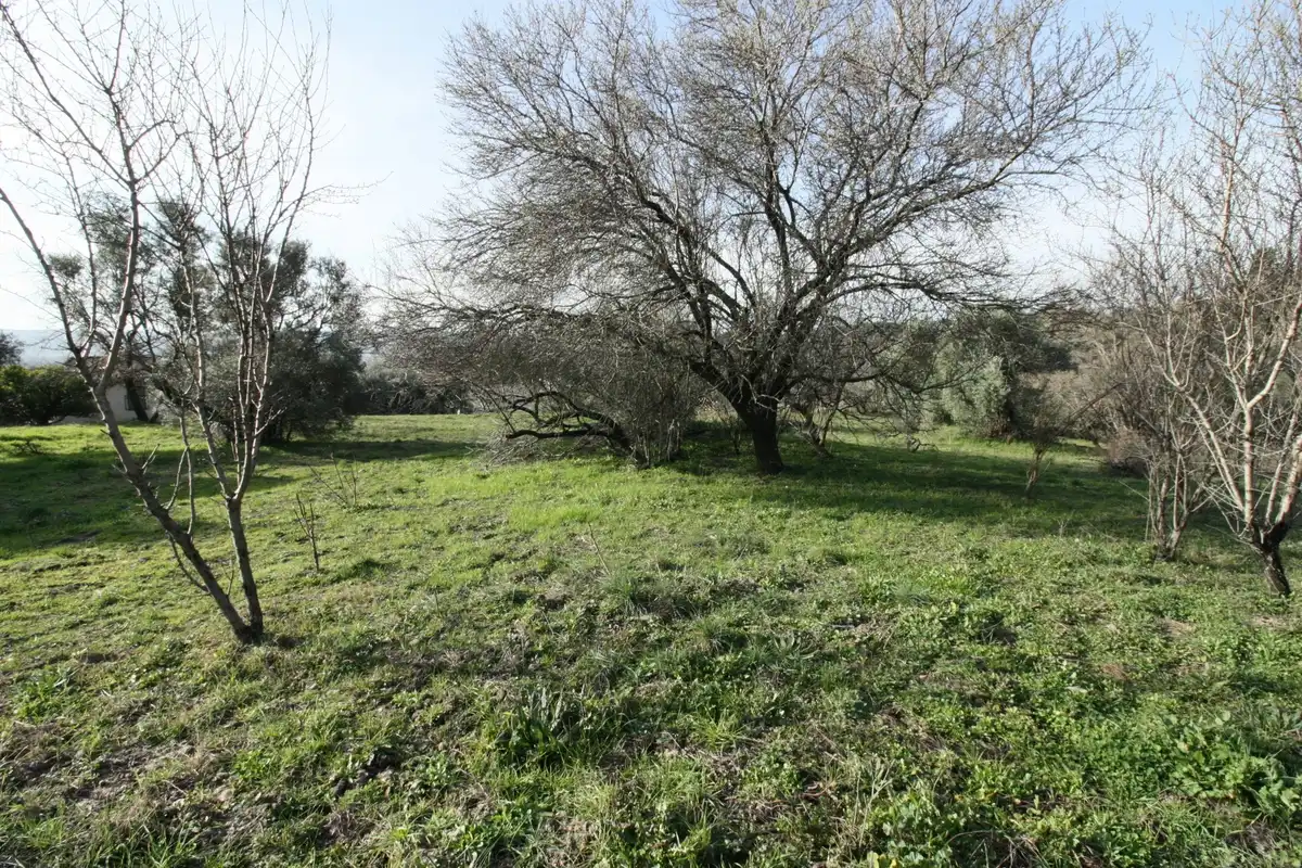 Residential for sale in Lanzahíta