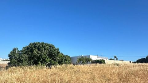 Foto 4 de Terreno en venta en Conil, Conil de la Frontera