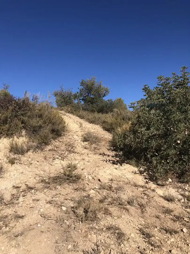 Terreno en venta en Pedralba