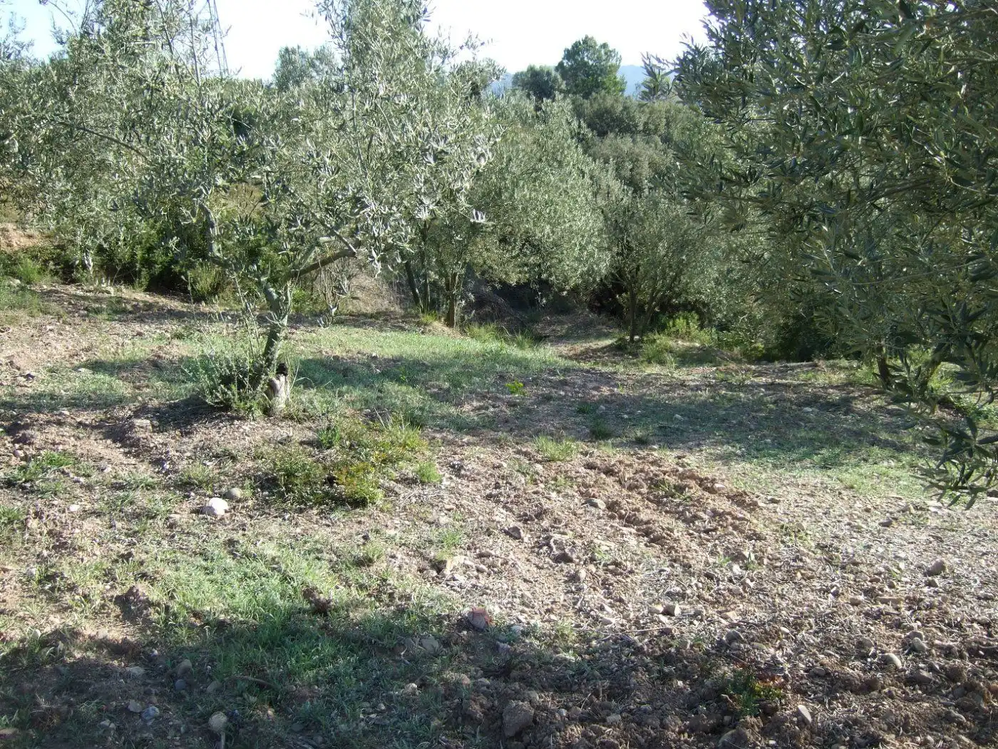Residential land for sale in Castellbisbal, imagen 12