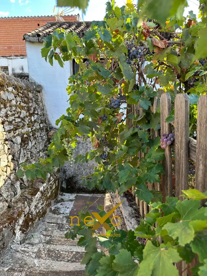Finca rústica en venda a San Nicolás del Puerto