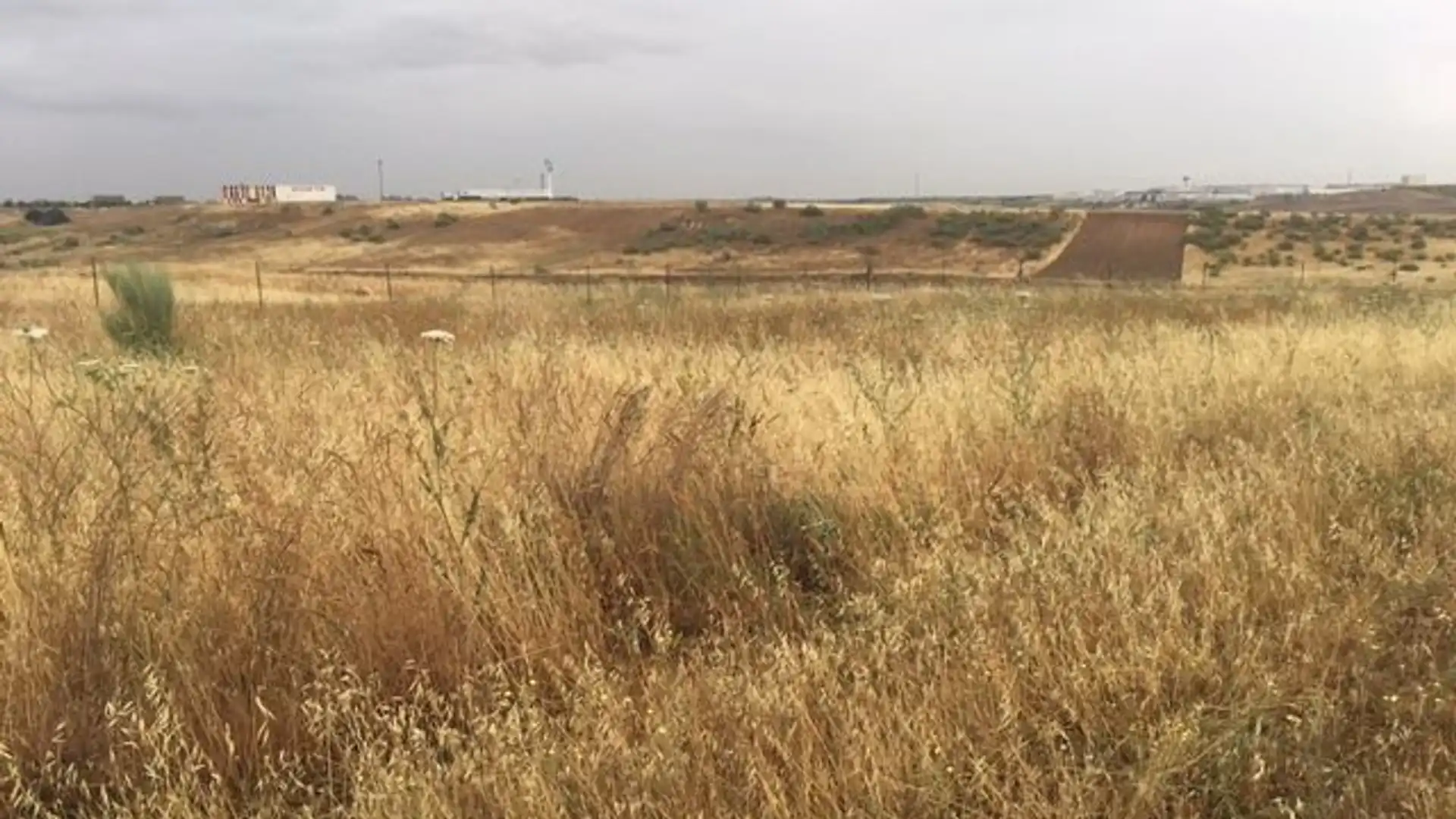 Terreno en venta en El Carpio de Tajo