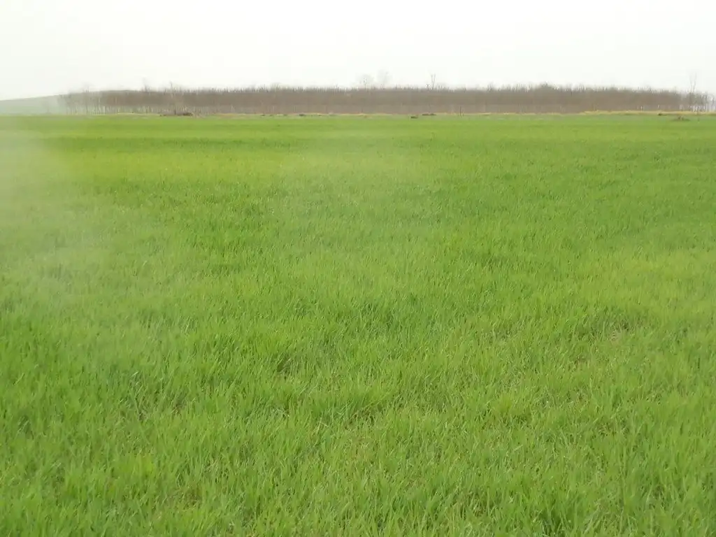 Terreno rustico in vendita a Centro - Plaza Mayor, imagen 11