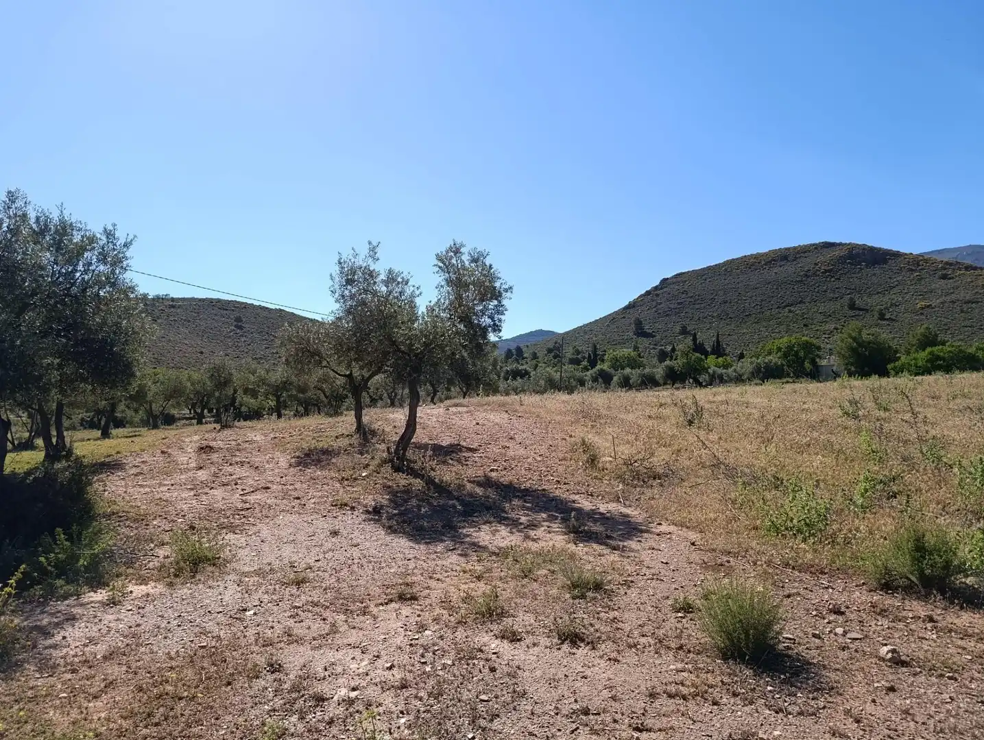 Rural land for sale in Laujar de Andarax, imagen 26