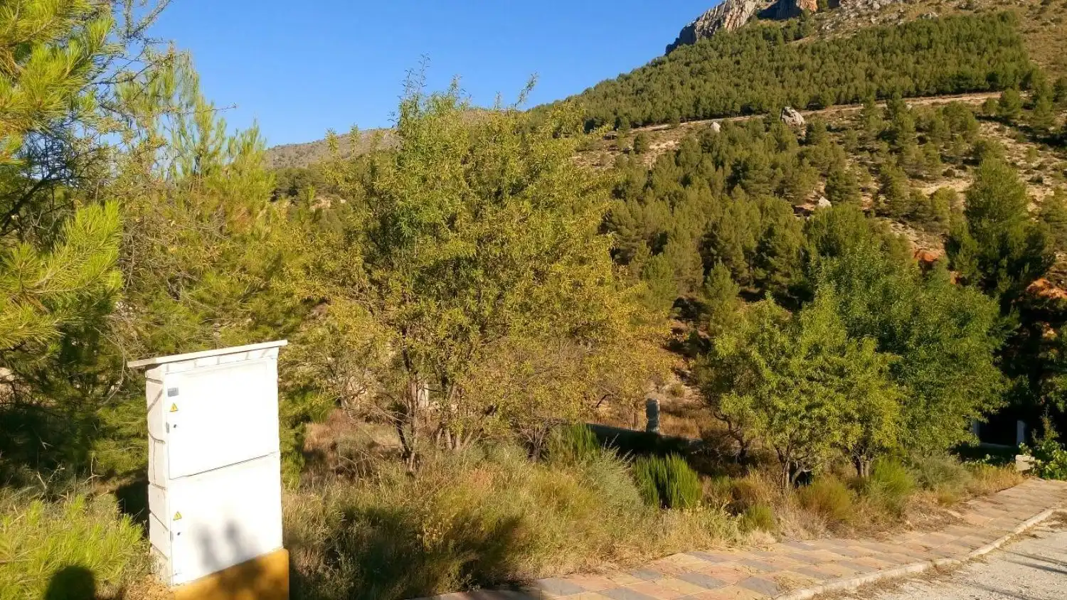 Vista exterior de Residencial en venta en Nerpio