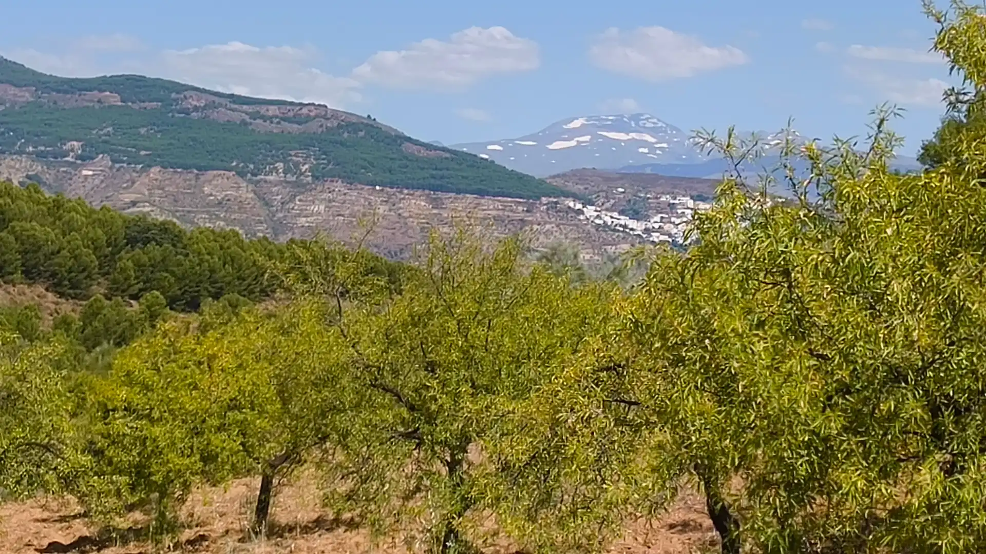 Vista exterior de Finca rústica en venda en Turón amb Jardí privat