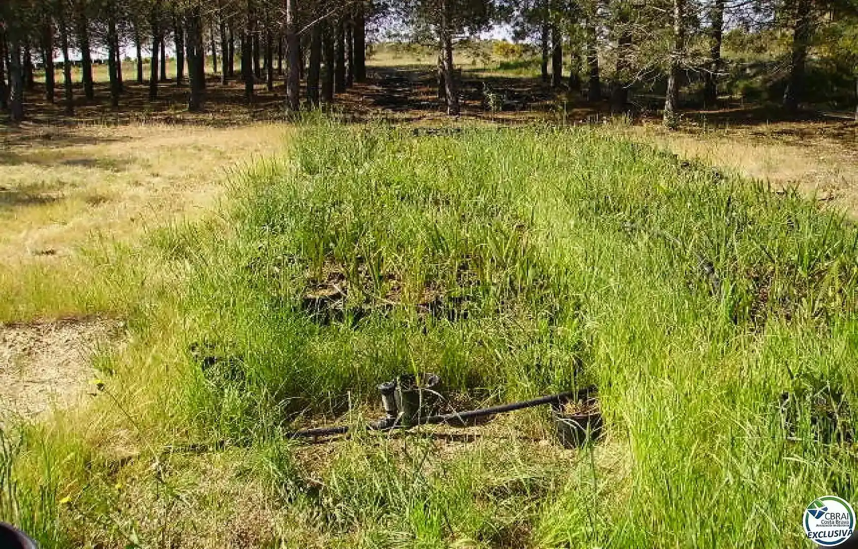 Terreno residencial en venta en Butaros, imagen 5
