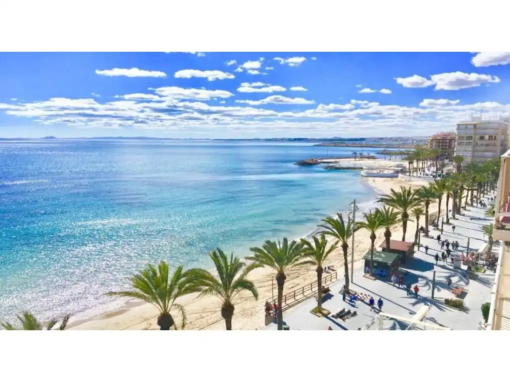 Vista exterior de Casa o chalet en venta en Torrevieja con Aire acondicionado, Jardín privado y Piscina