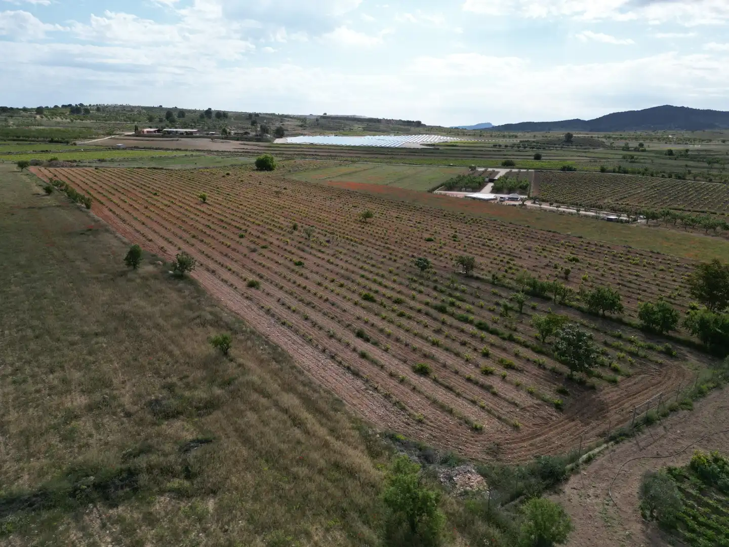 Terreno residencial en venta en El Pinós / Pinoso, imagen 16