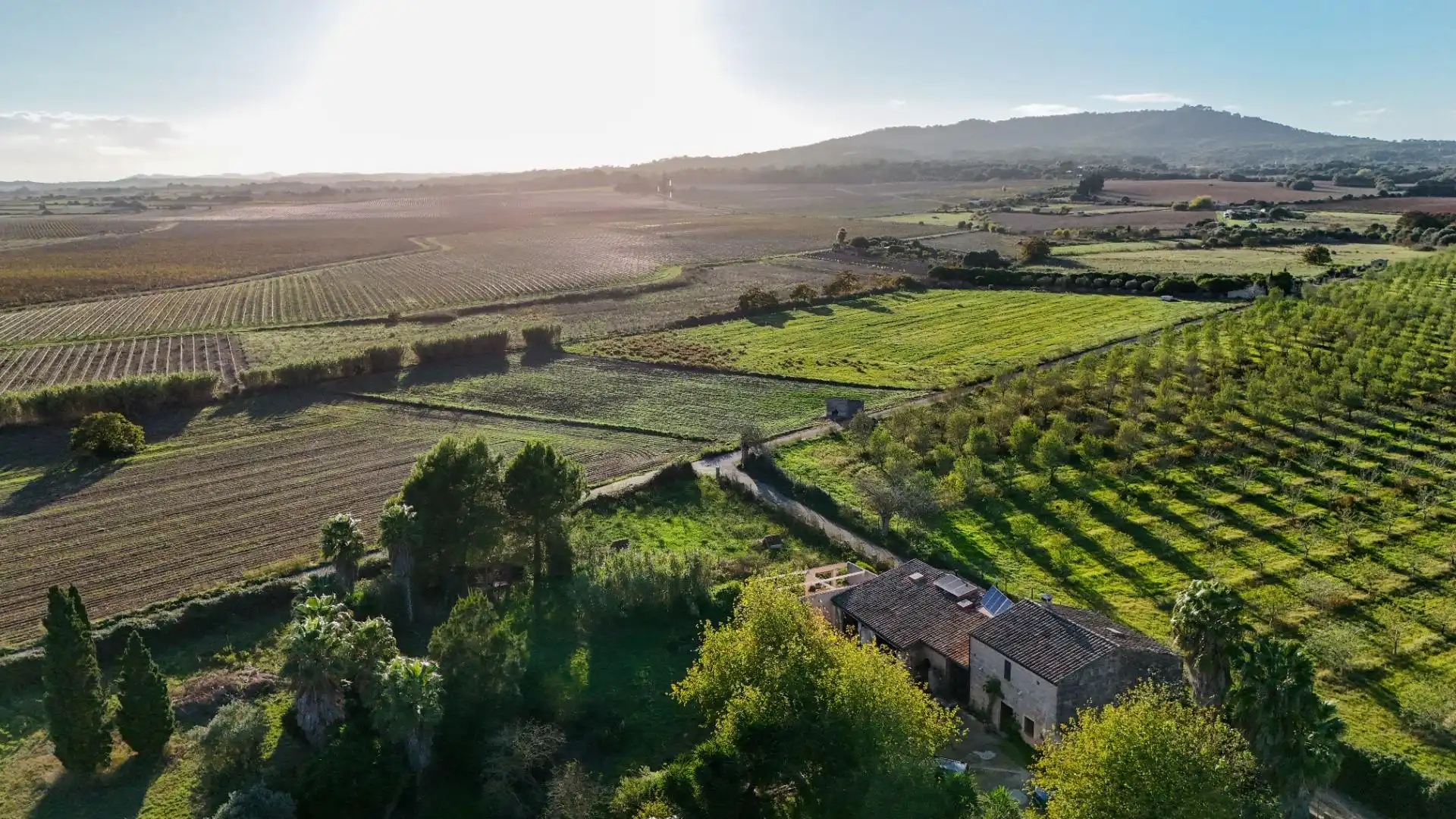 Casa o xalet en venda en Petra amb Aire condicionat i Calefacció
