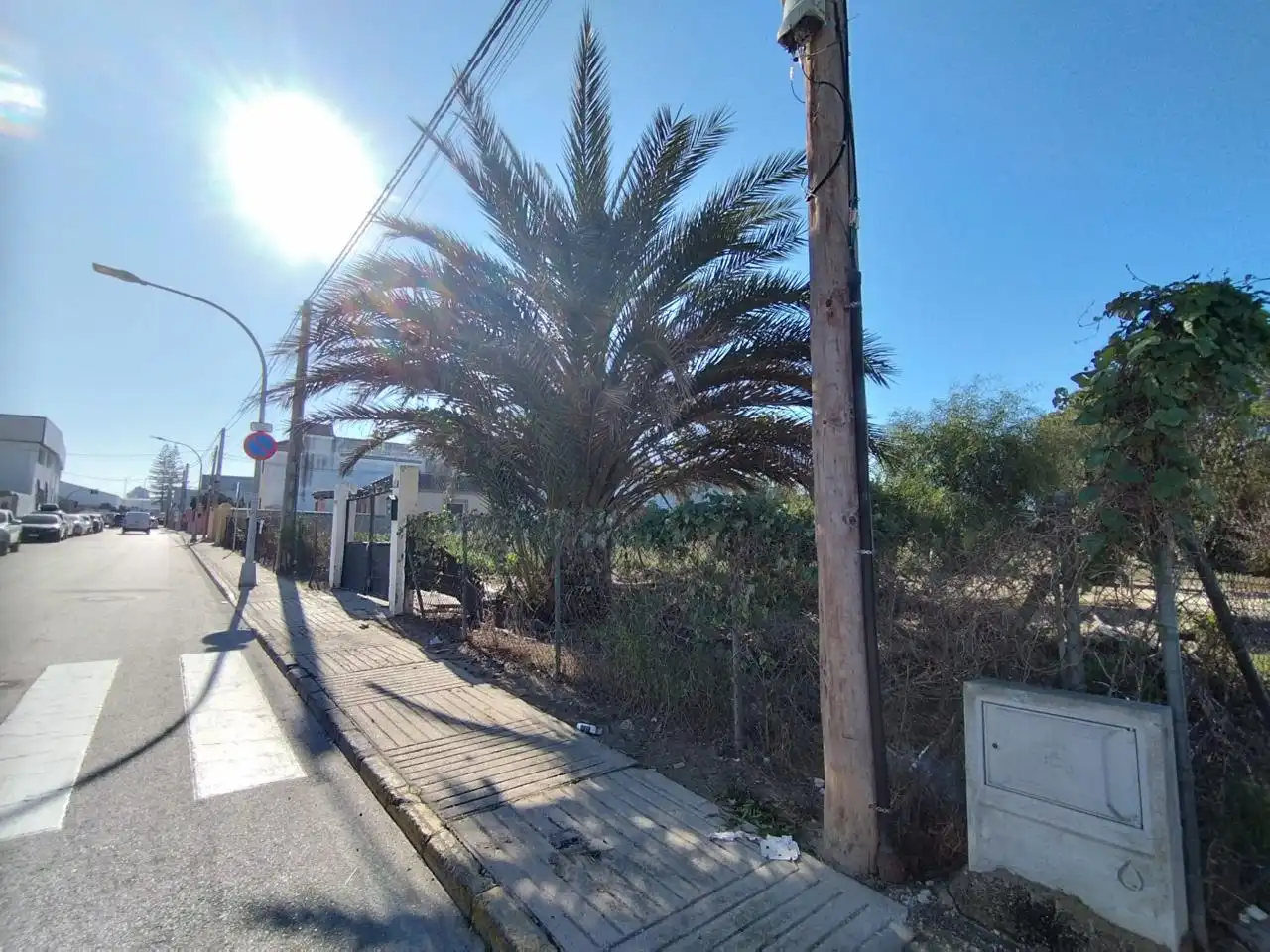 Lands and plots for sale in De Pozo De Las Vacas, imagen 3