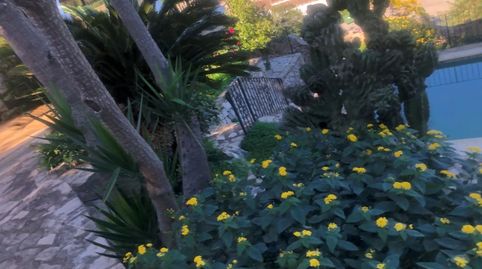 Foto 3 de Casa o chalet de alquiler en Urbanización Monterrey, El Real de Gandia, Valencia