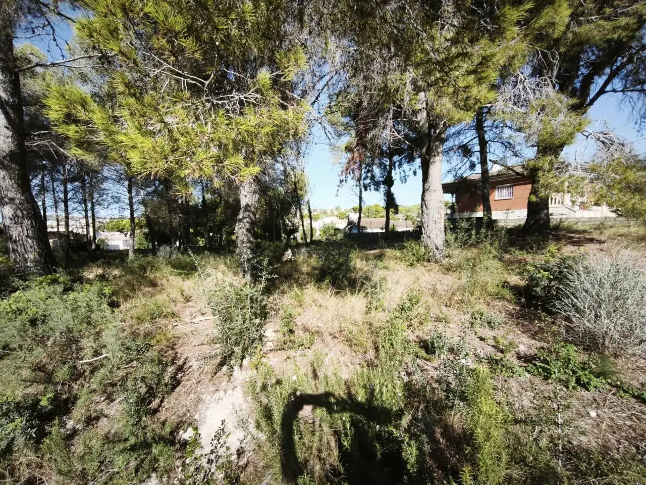 Residential land for sale in Calle Acacias, imagen 10