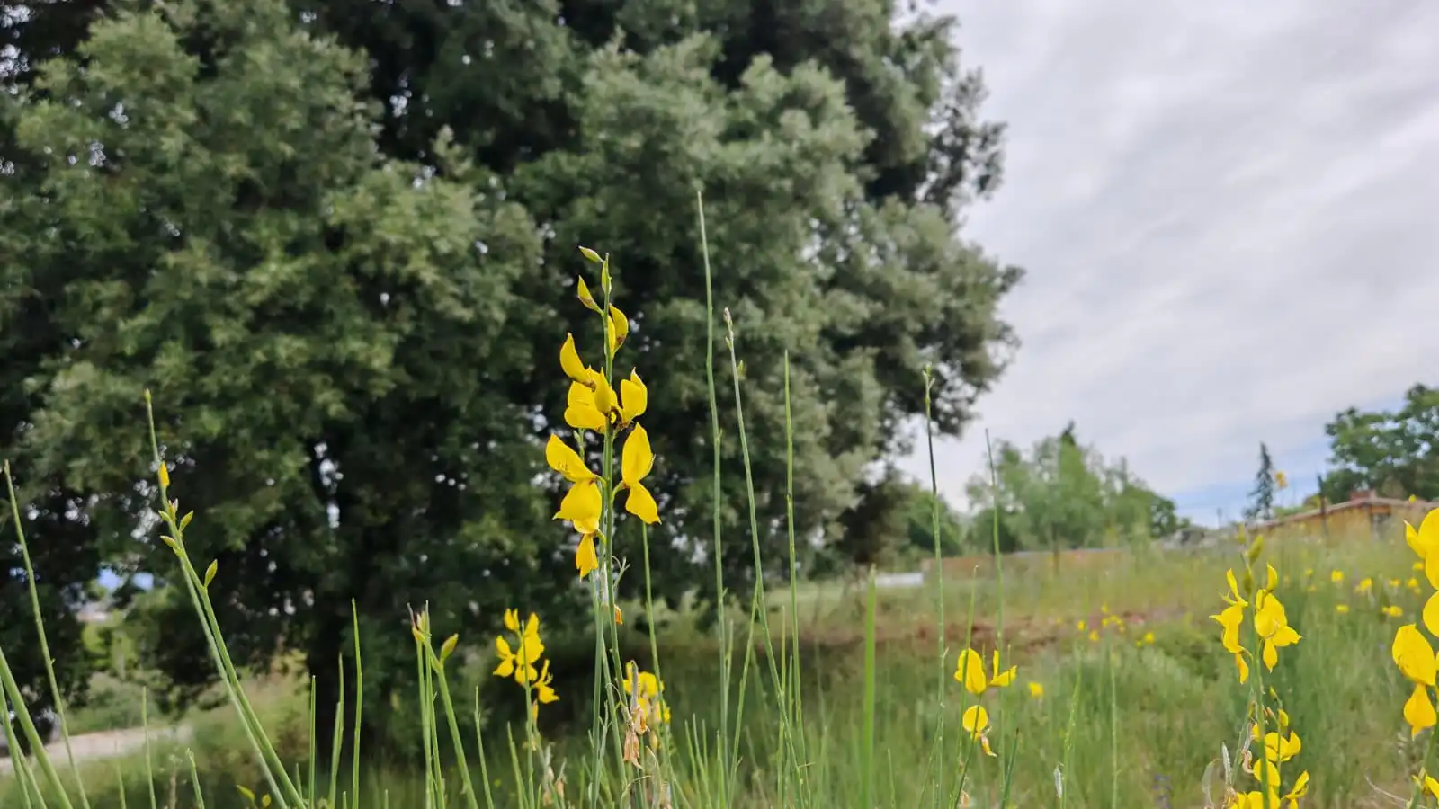 Residential land for sale in Can Font - Ca n'Avellaneda, imagen 10