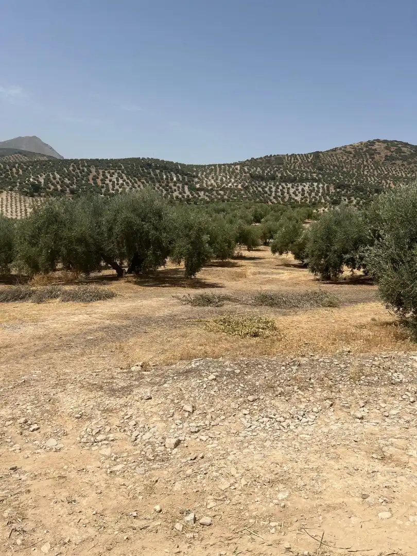 Casa rústica en venda a Priego de Córdoba, imagen 3