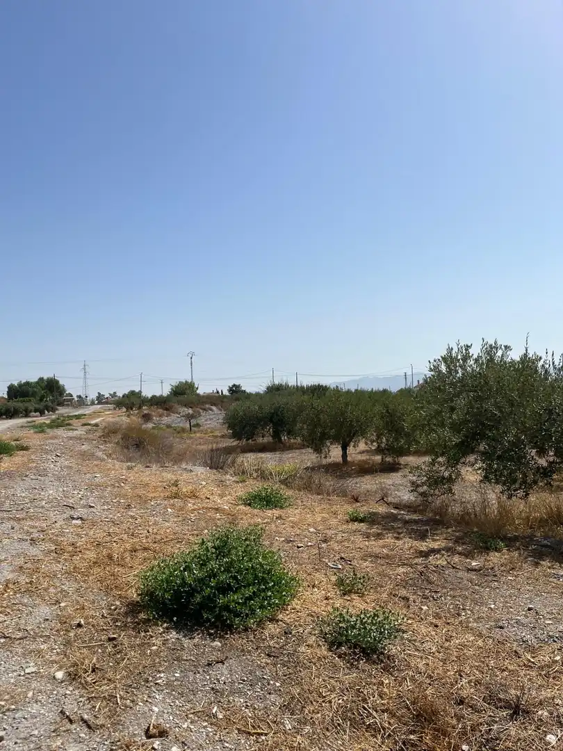 Rustikales Grundstück zum Verkauf in Camino TORRECILLA, imagen 11