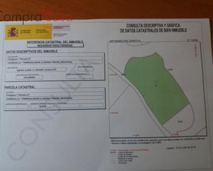 Land for sale in Torreiglesias