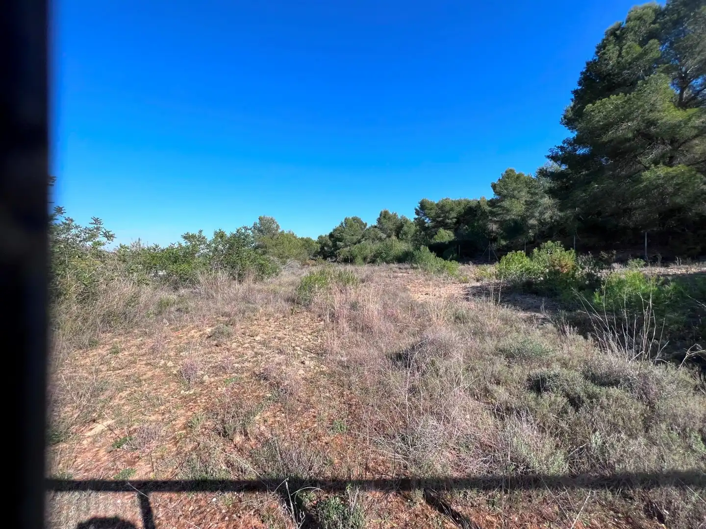 Terrenos y solares en venta en La Vall d'Uixó, imagen 5