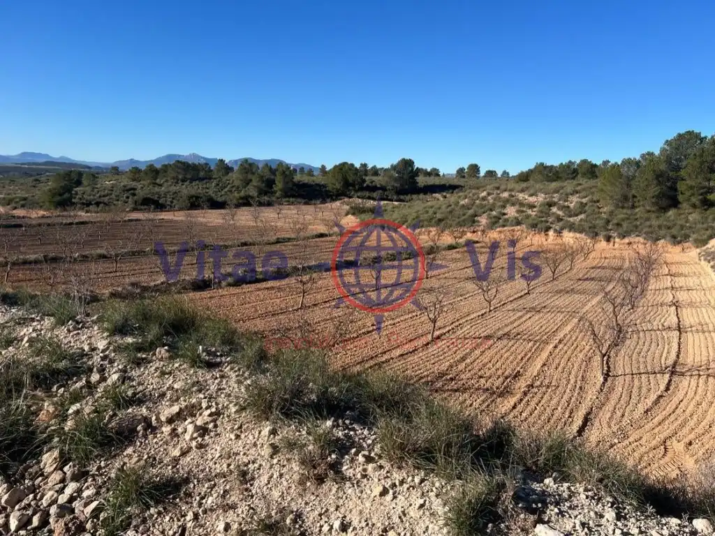 Casa o chalet en venta en La Paca