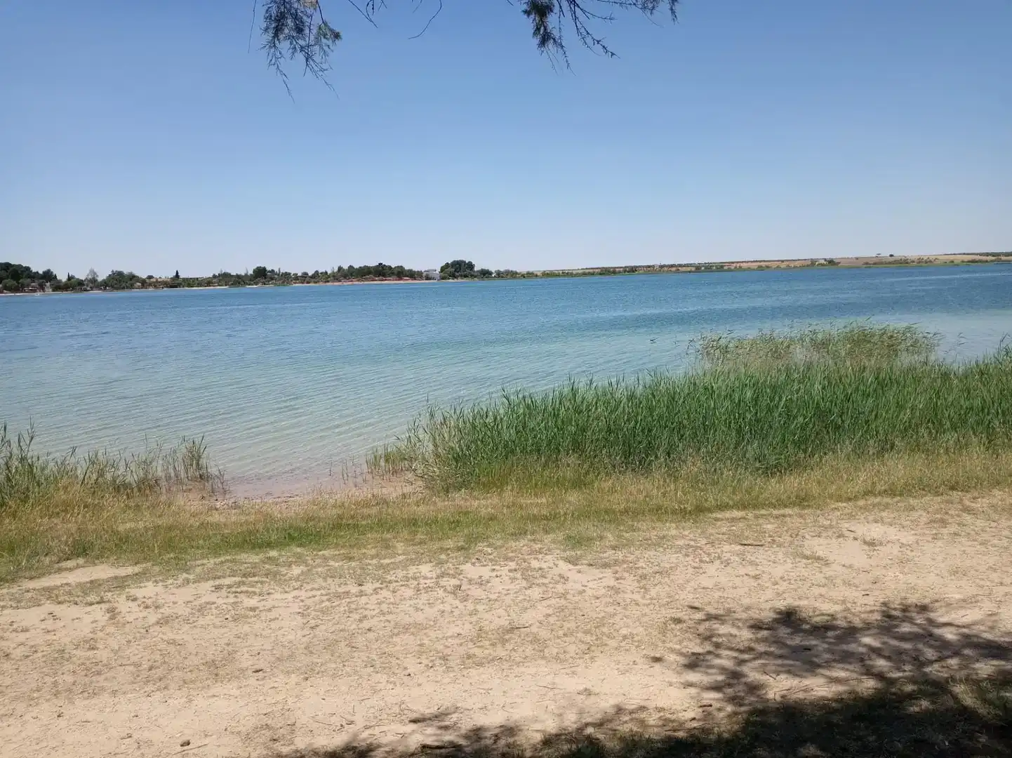 Planta baixa en venda en Villafranca de los Caballeros amb Traster