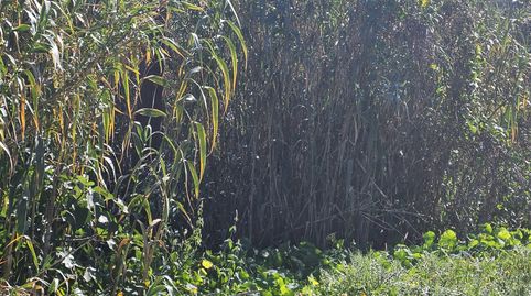 Foto 2 de Terreno en venta en Los Portales - Visvique, Arucas