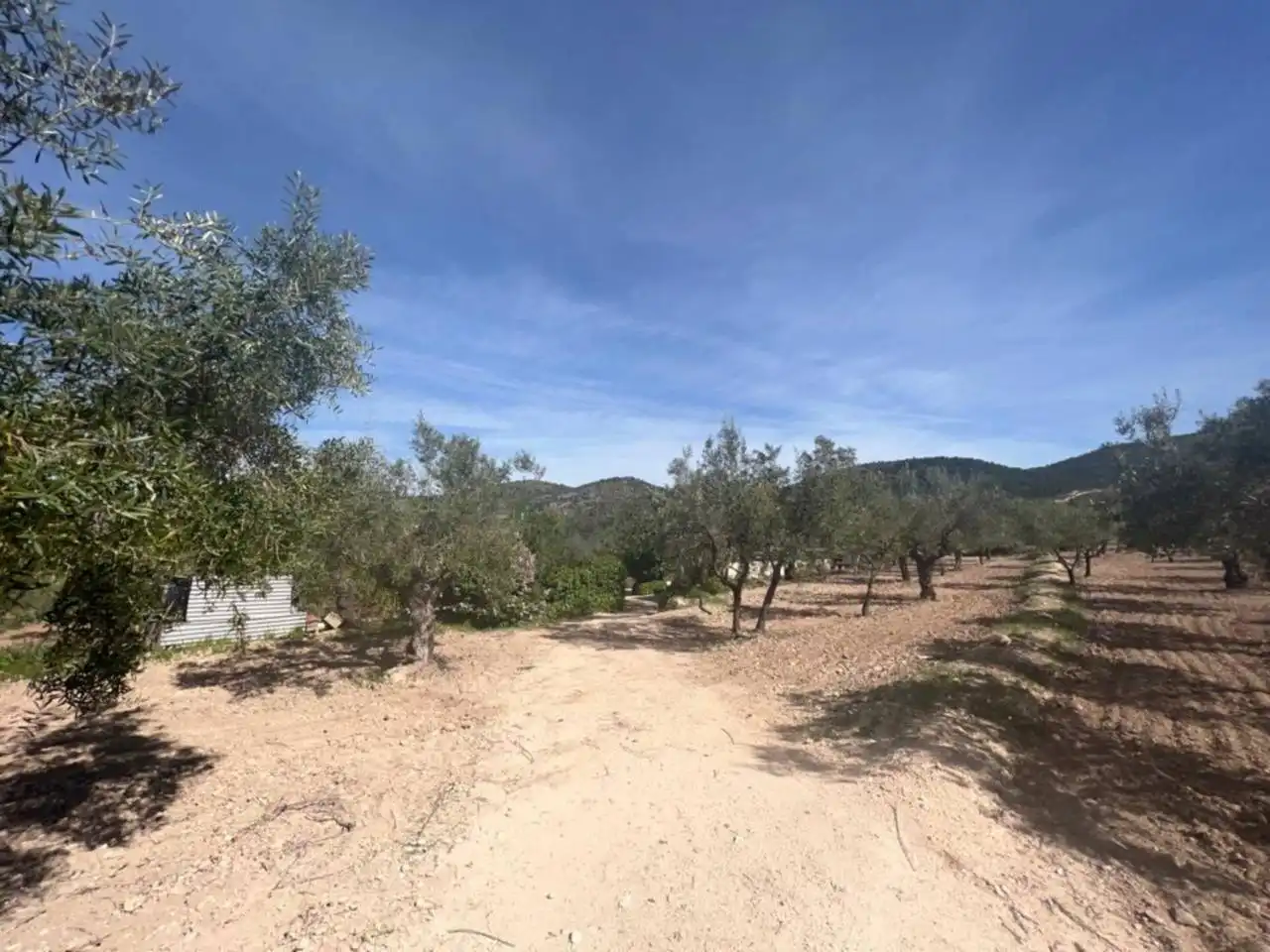 Chalet con jardín en venta en Calle Poligono, imagen 51