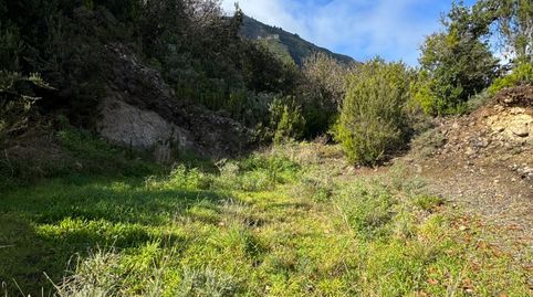 Foto 4 de Terreny en venda a Palo Blanco, Los Realejos