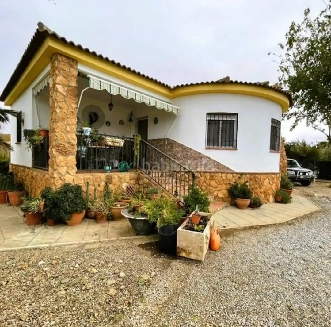 Chalet con piscina en venta en Carretera Benalúa 20