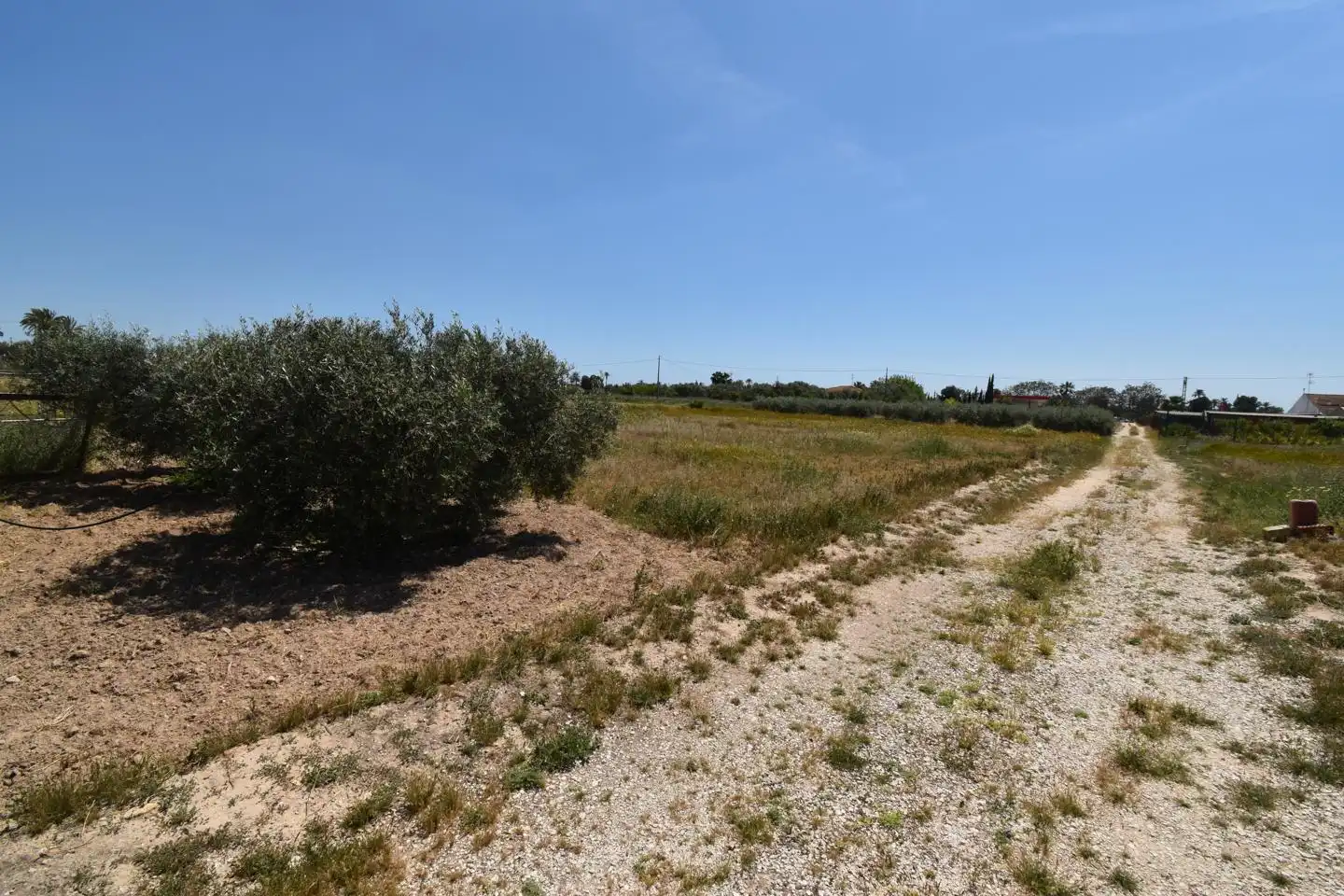 Casa o xalet en venda en Elche / Elx amb Jardí privat
