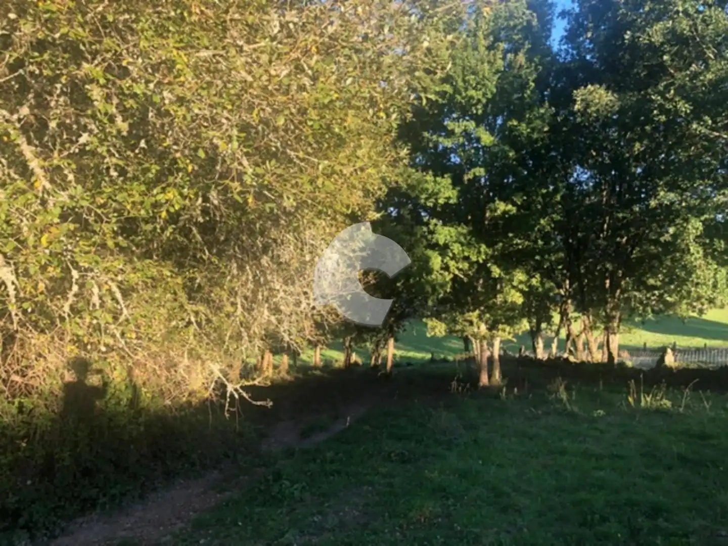Terreni e lotti in vendita a Nogueira de Ramuín, imagen 49