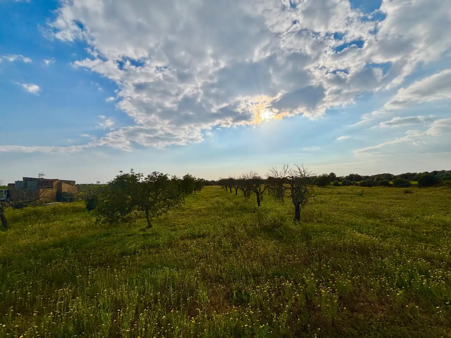 Residencial en venda en Llucmajor