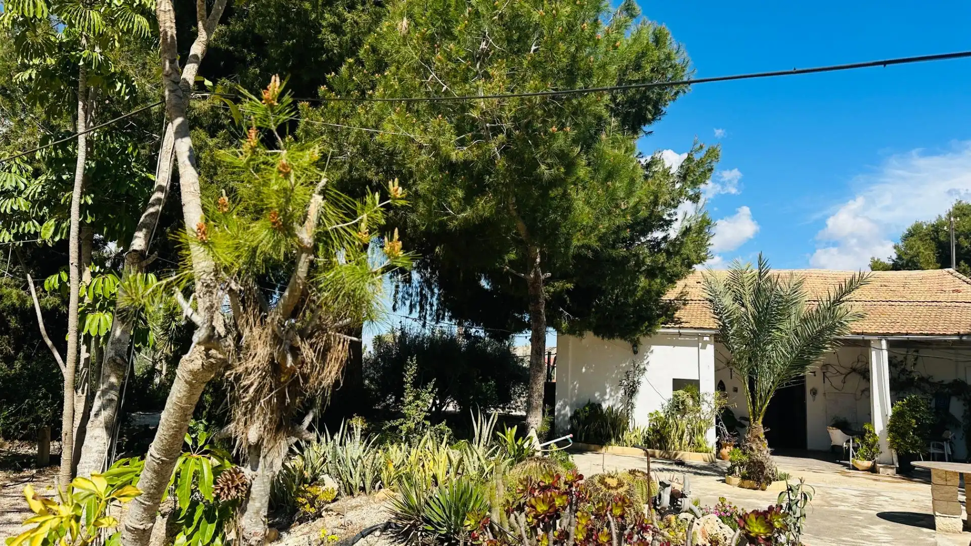 Jardí de Casa o xalet en venda en Elche / Elx amb Jardí privat, Traster i Piscina