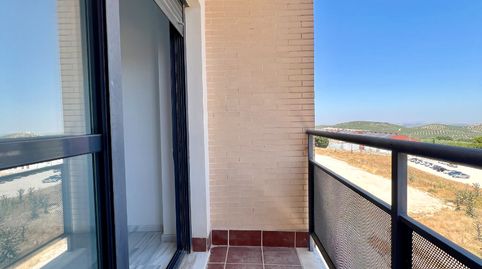 Foto 4 de Piso en venta en Estepa, Sevilla