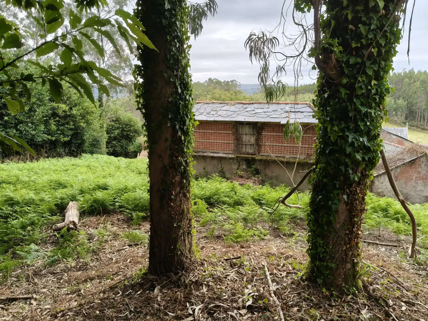 Country house with garden for sale in Cedeira, imagen 38
