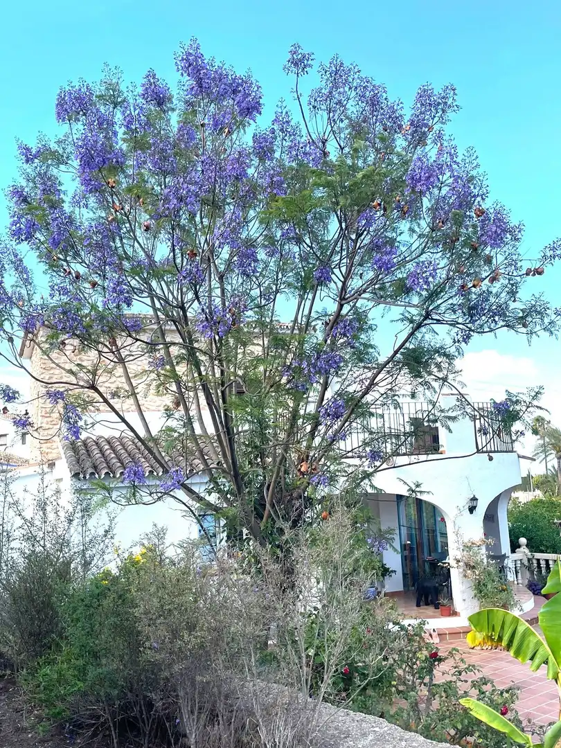 Maison avec piscine à vendre à Cala Advocat - Baladrar, imagen 25