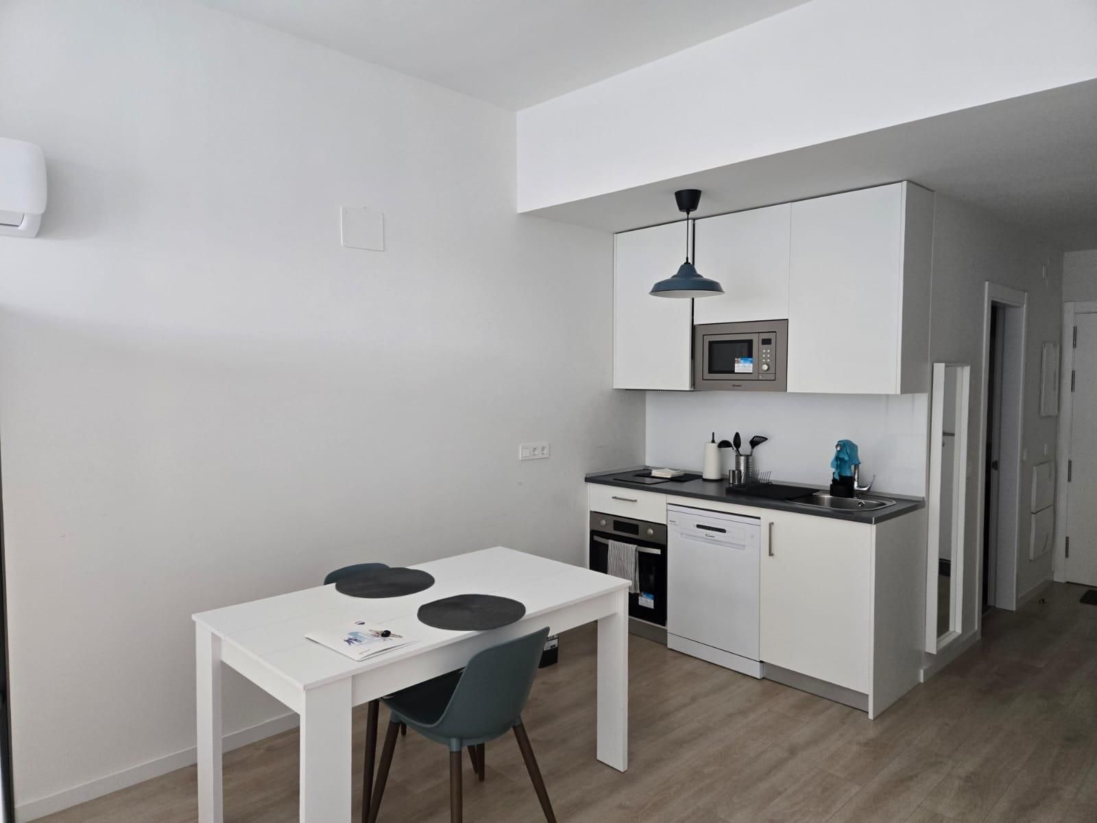 Cuina de Loft de lloguer en  Madrid Capital amb Aire condicionat, Terrassa i Balcó