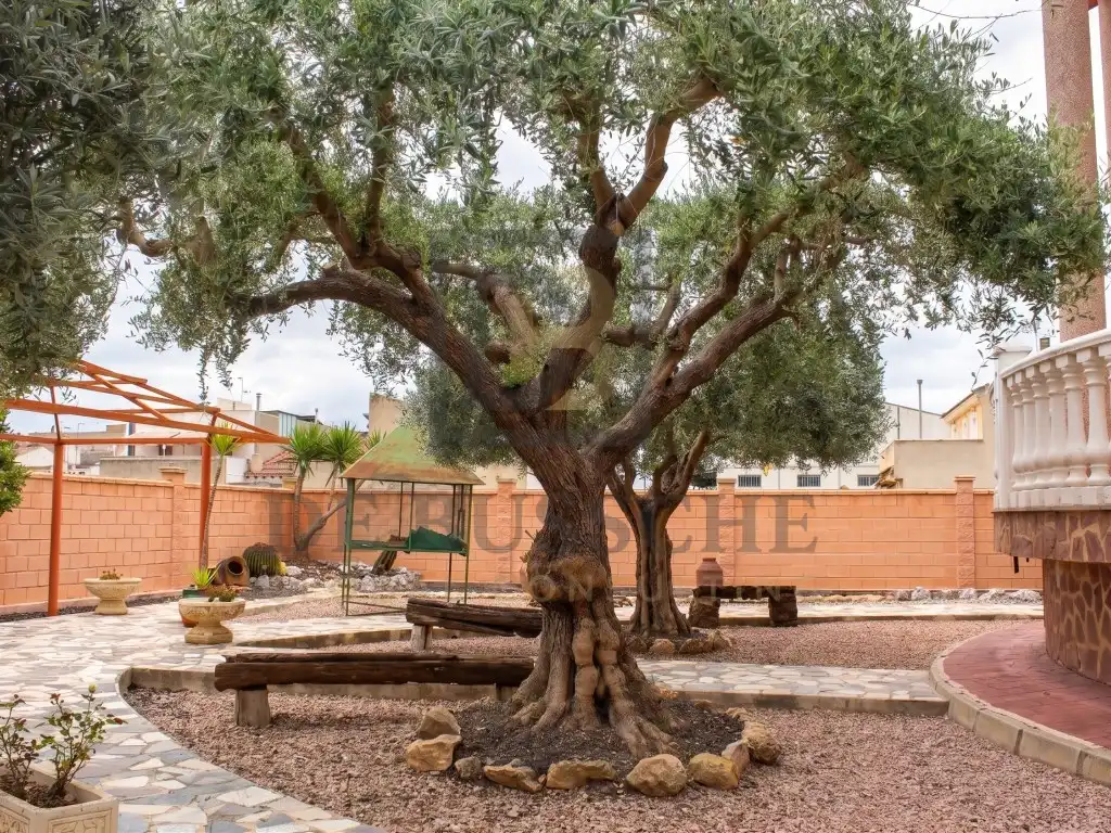 Jardín de Casa adosada en venta en Orihuela con Jardín privado y Terraza