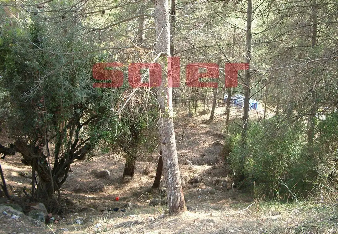 Terreni e lotti in vendita a La Palma de Cervelló, imagen 2
