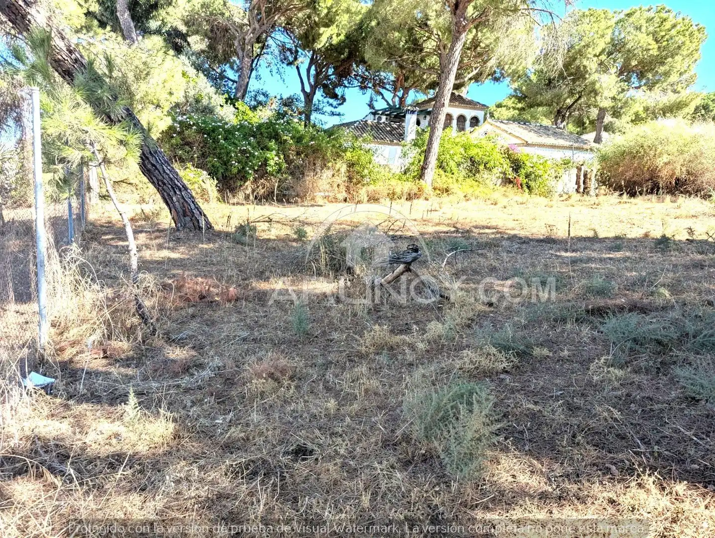 Terreni e lotti in vendita a Oromana, imagen 7