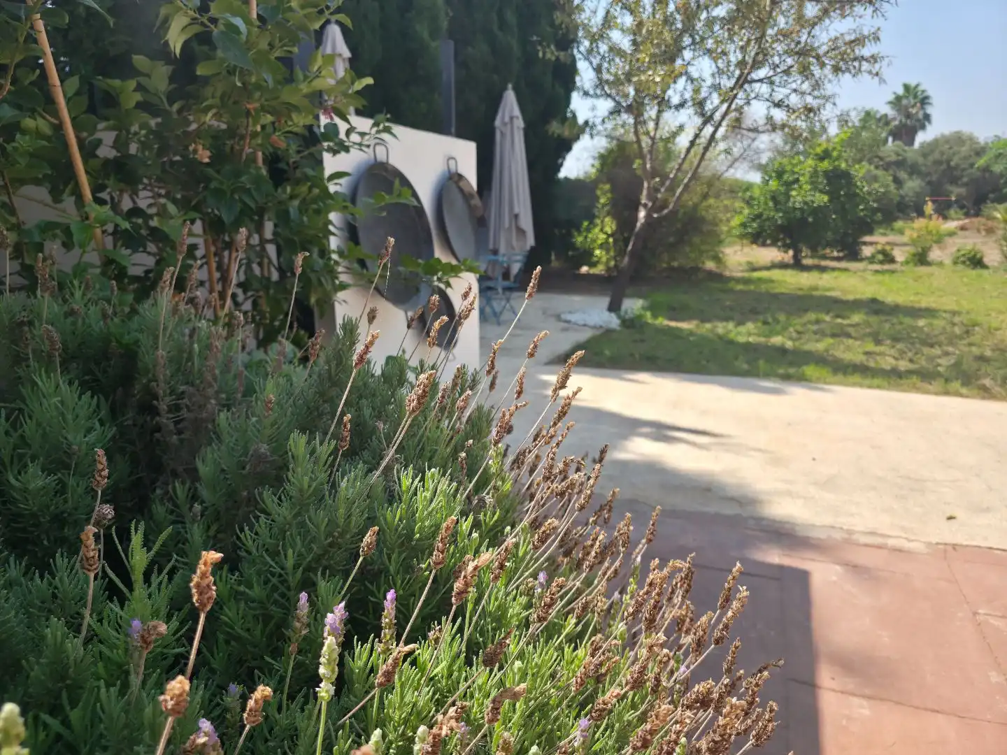 Jardí de Casa o xalet de lloguer en Ausias March