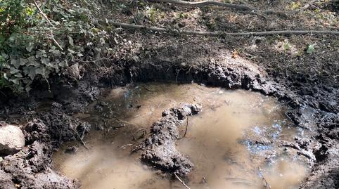 Foto 4 de Terreny en venda a N/a, -1, Rebollar (Cáceres), Cáceres