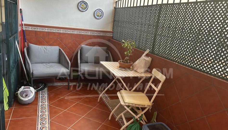 Photo 1 of House or chalet to rent in Los Molinos, Sevilla