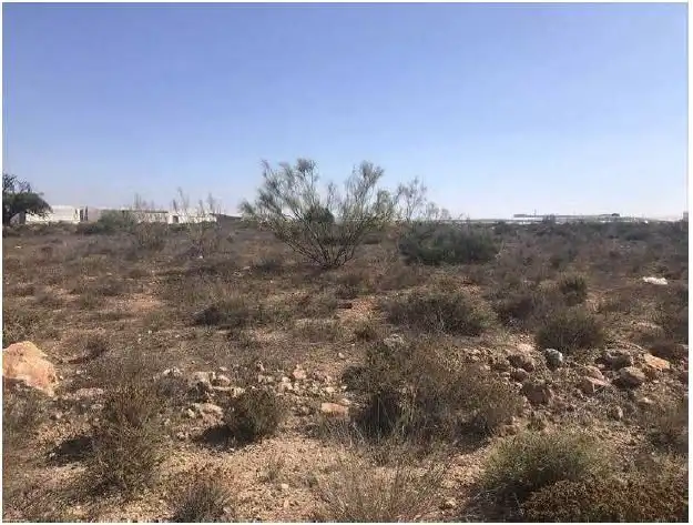 Terreny rústic en venda a Lucainena de las Torres, imagen 8