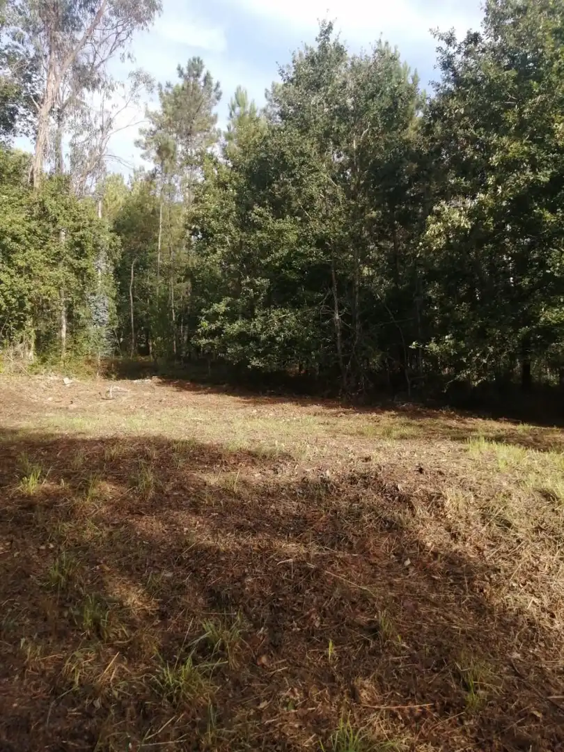 Terrains et parcelles à vendre à Ponteareas, imagen 5