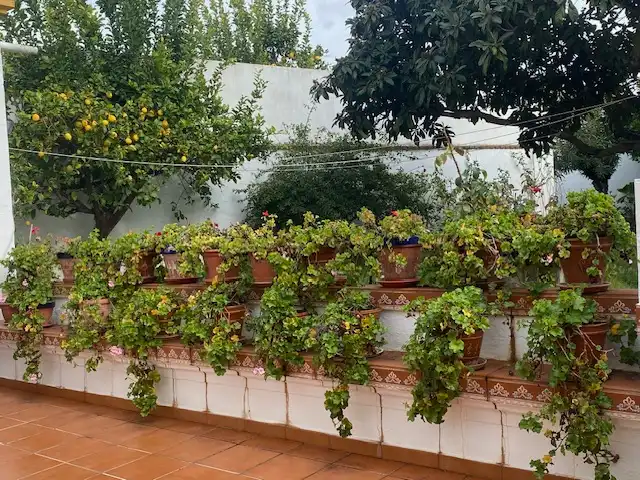 Country homes for sale in Calle Badajoz, 80, Barcarrota