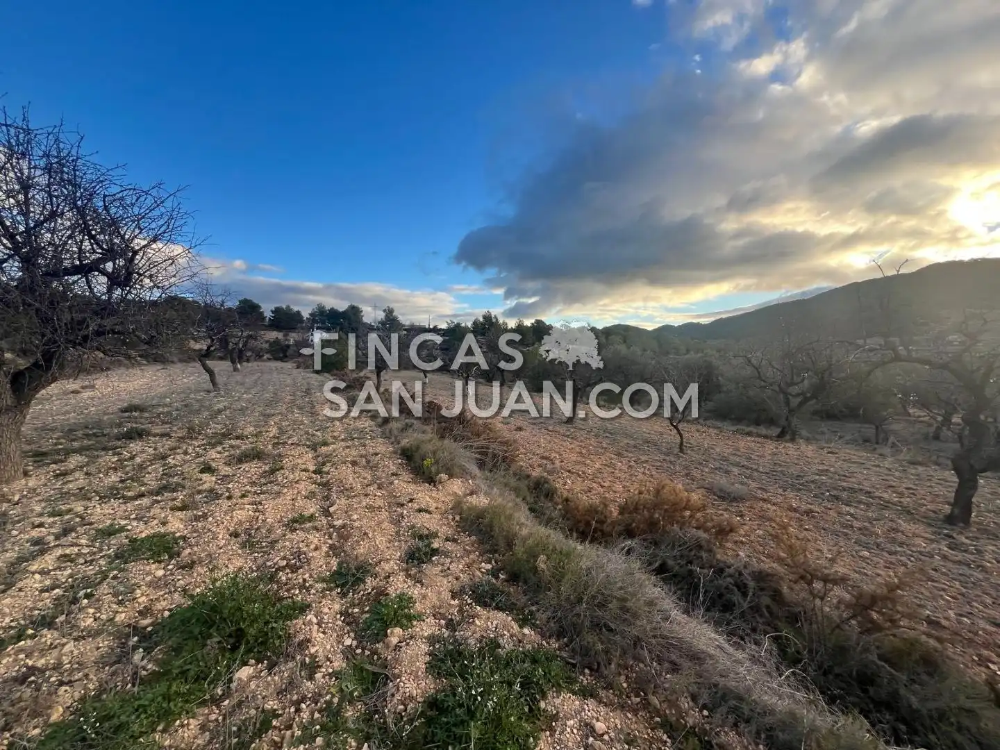 Terreny residencial en venda a Torremanzanas / La Torre de les Maçanes, imagen 12