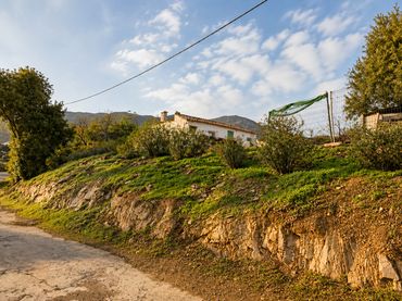 Terreno rustico in vendita a Diseminado la Alqueria