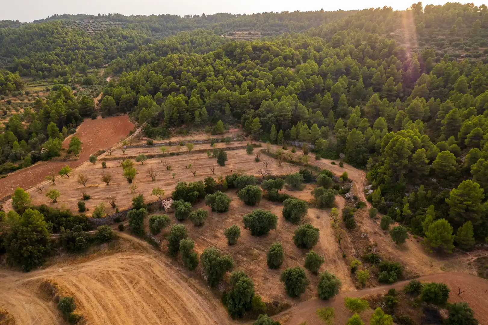Terreni e lotti in vendita a Lledó, imagen 12