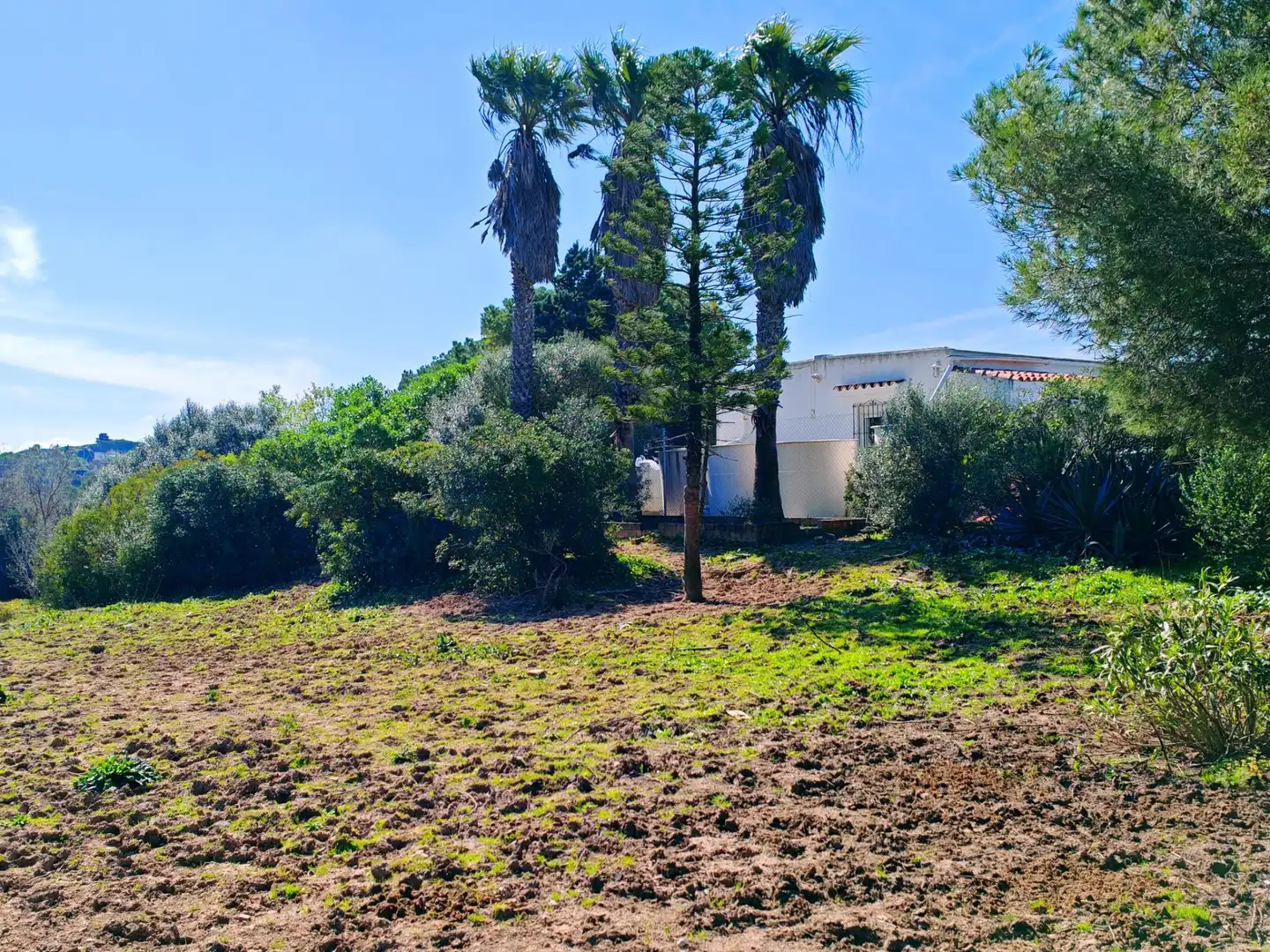 Casa o chalet en venta en Medina Sidonia con Jardín privado, Piscina y Amueblado