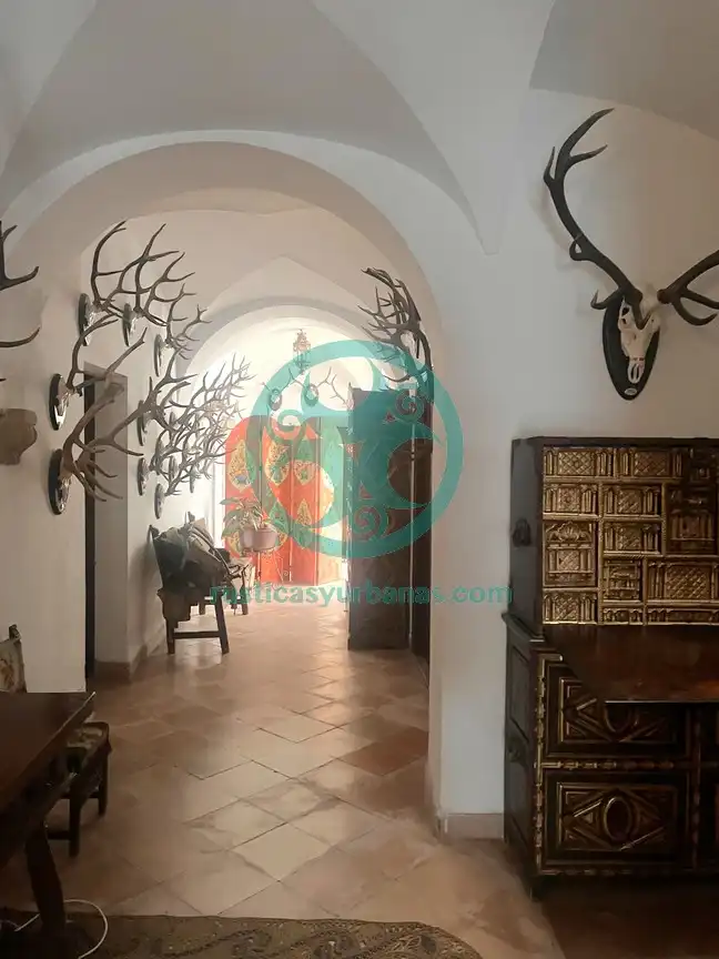 House with terrace for sale in Calle Tintoreros, imagen 3